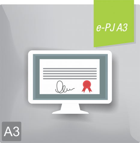 Certificado Digital para Pessoa Juridica A3 (e-PJ A3)