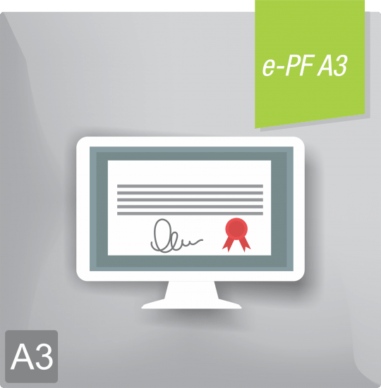 Certificado Digital para CONTADOR (e-PF A3) 3 anos