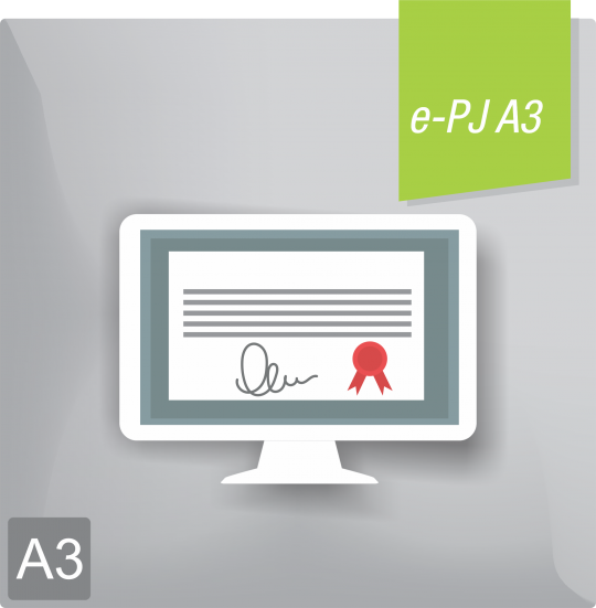 Certificado Digital para Pessoa Juridica A3 (e-PJ A3)